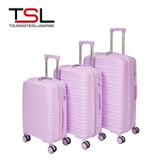 Чемодан TSL 2-036-03К лаванда