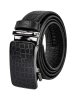 Ремень Ego Favorite Р51020 черный<br /><span>Мужская коллекция</span>
