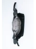 Сумка Ego Favorite 28-4911-Z черный<br /><span>Женская коллекция</span>