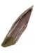 Кошелек Ego Favorite 304-0009 оливковый<br /><span>Женская коллекция</span>